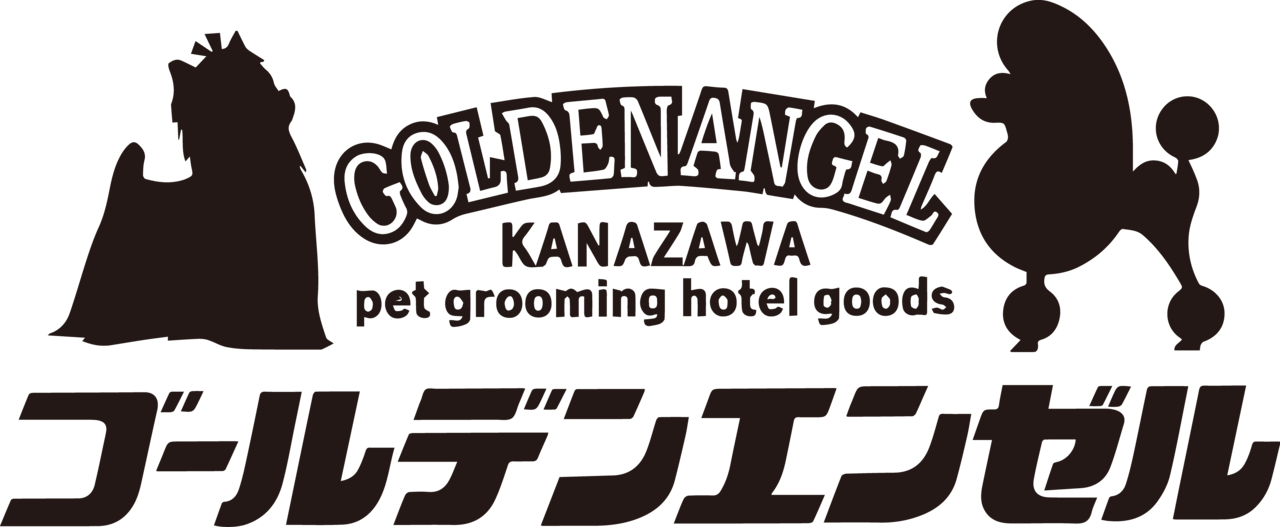 logo.jpg