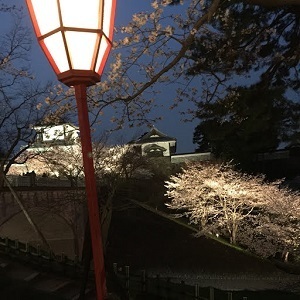 ー５２０１８桜.jpg