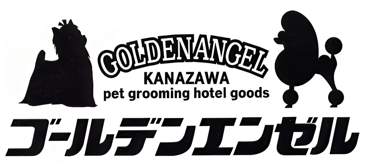logo.jpg